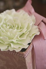 DECOClay